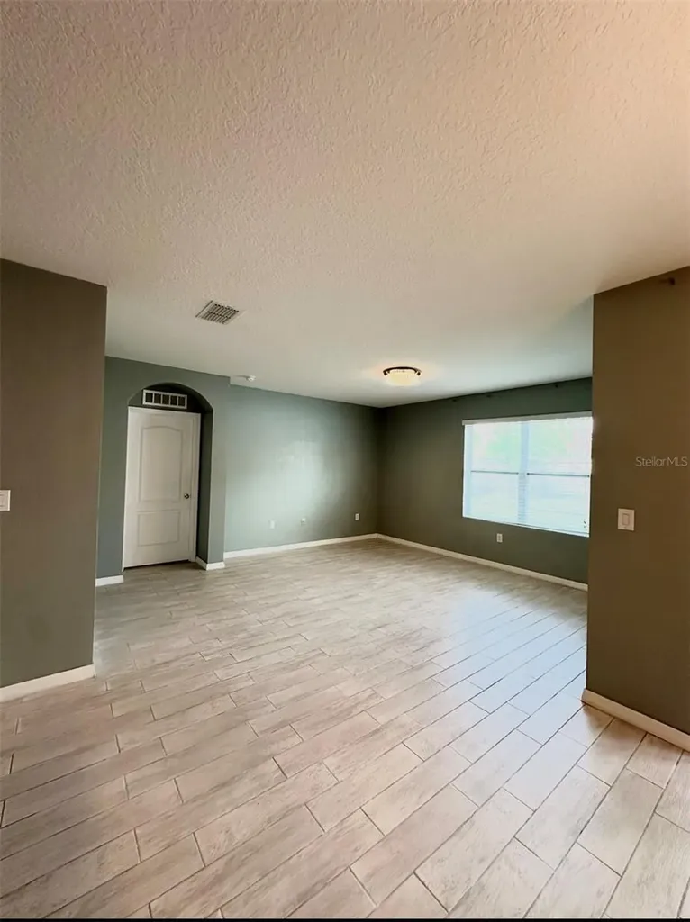 1519 Diamond Loop Drive Kissimmee FL 34744