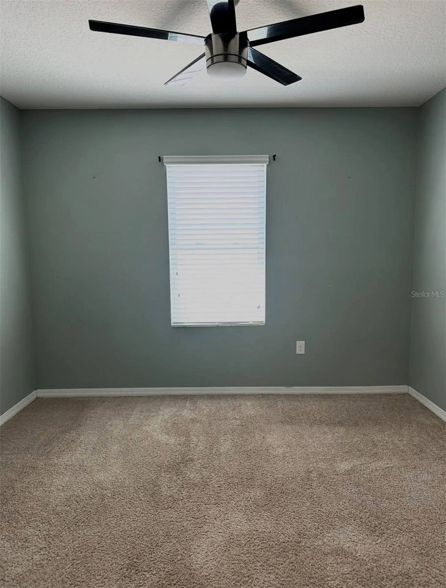 1519 Diamond Loop Drive Kissimmee FL 34744