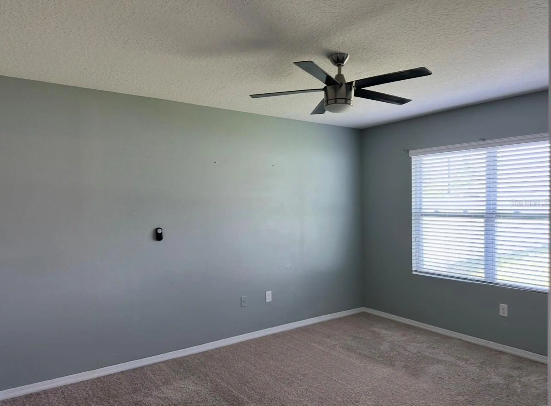 1519 Diamond Loop Drive Kissimmee FL 34744