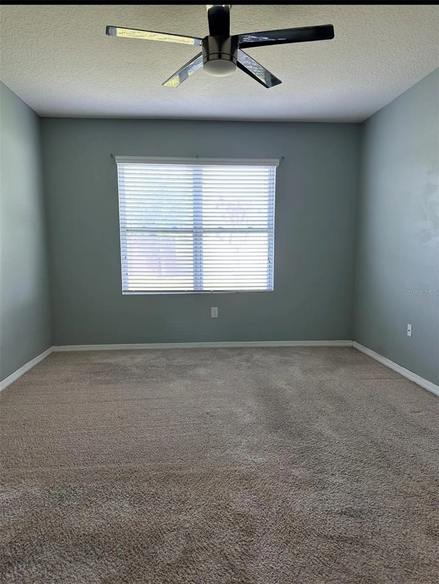 1519 Diamond Loop Drive Kissimmee FL 34744