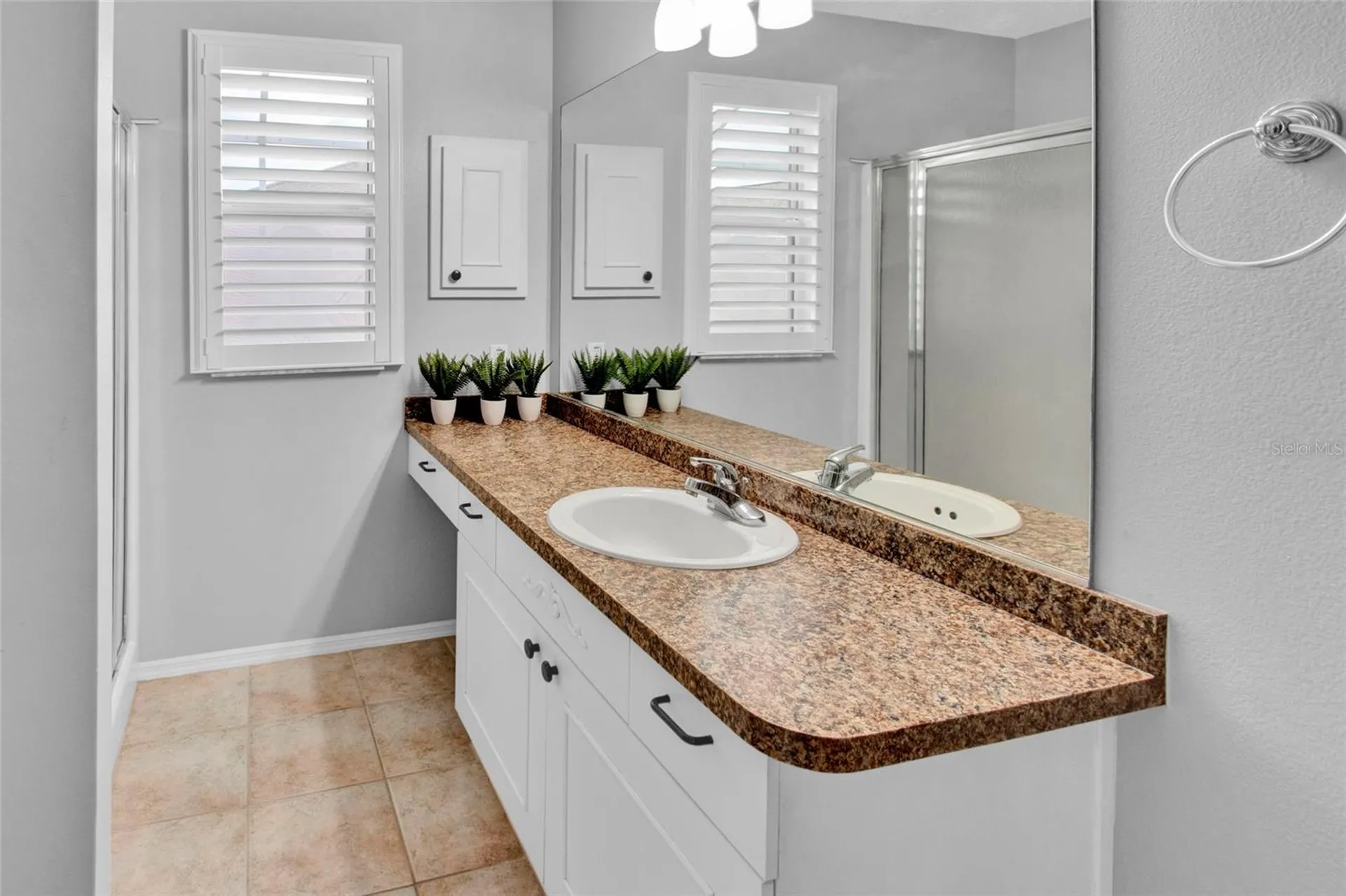 807 Camino Del Rey Drive The Villages FL 32159