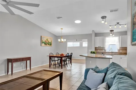 807 Camino Del Rey Drive The Villages FL 32159