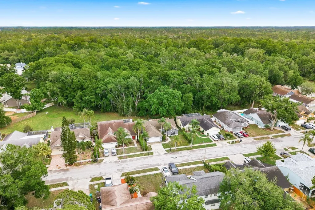 7050 Woodibis Drive New Port Richey FL 34654