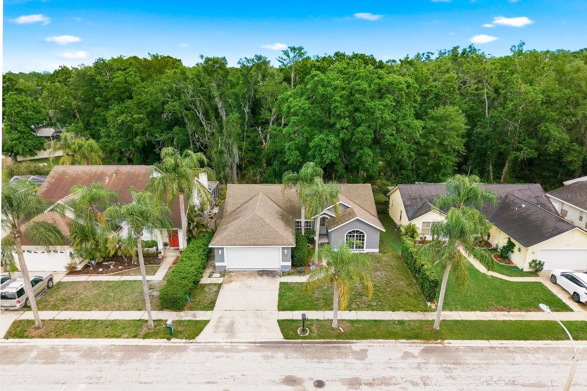 7050 Woodibis Drive New Port Richey FL 34654