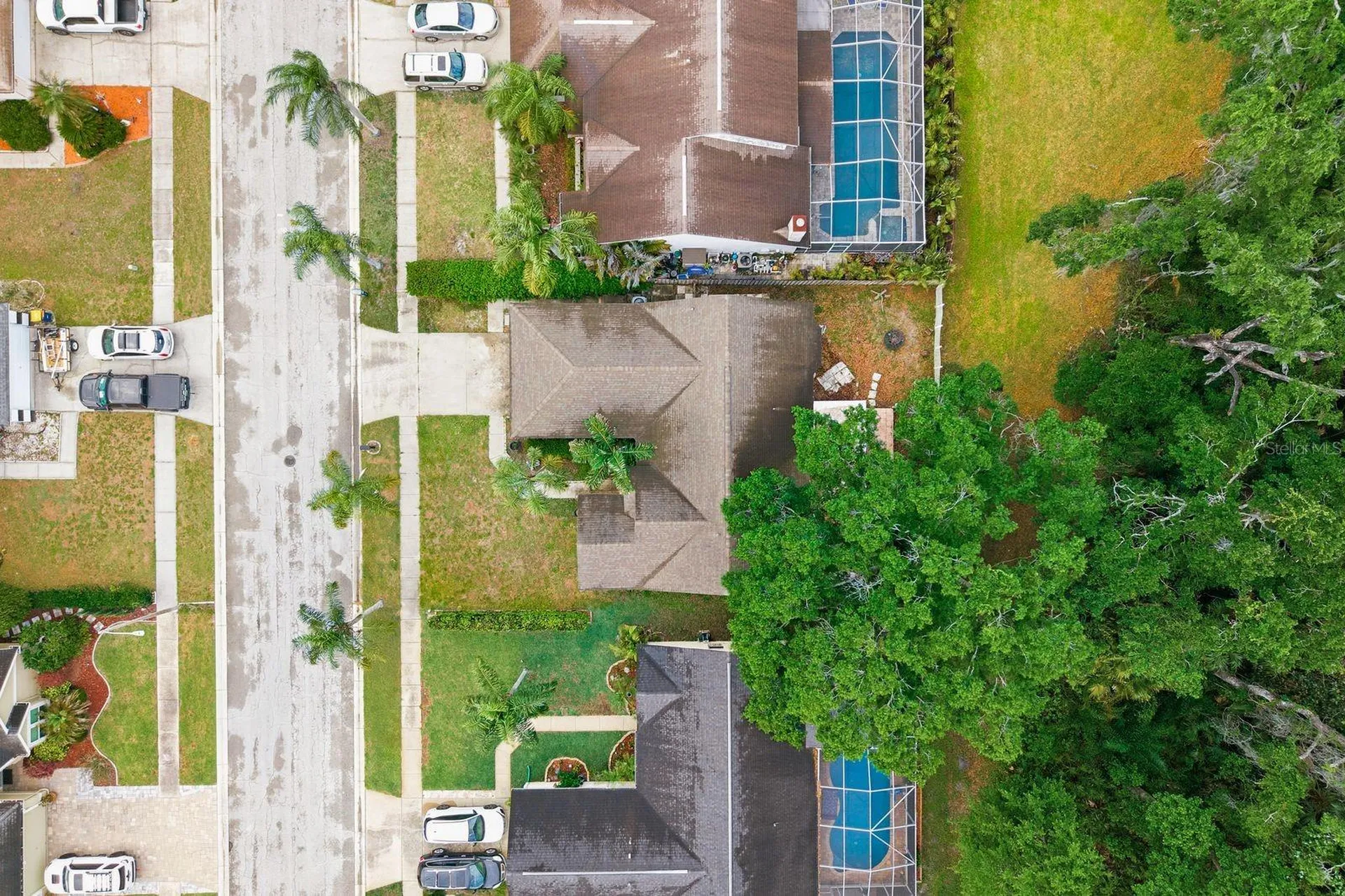 7050 Woodibis Drive New Port Richey FL 34654
