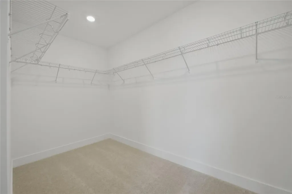 15267 Hamlin Park Drive Winter Garden FL 34787