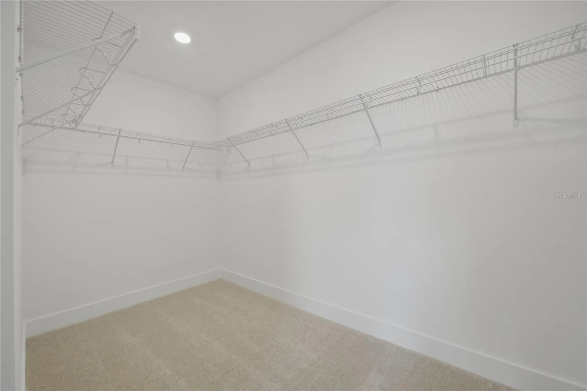 15267 Hamlin Park Drive Winter Garden FL 34787