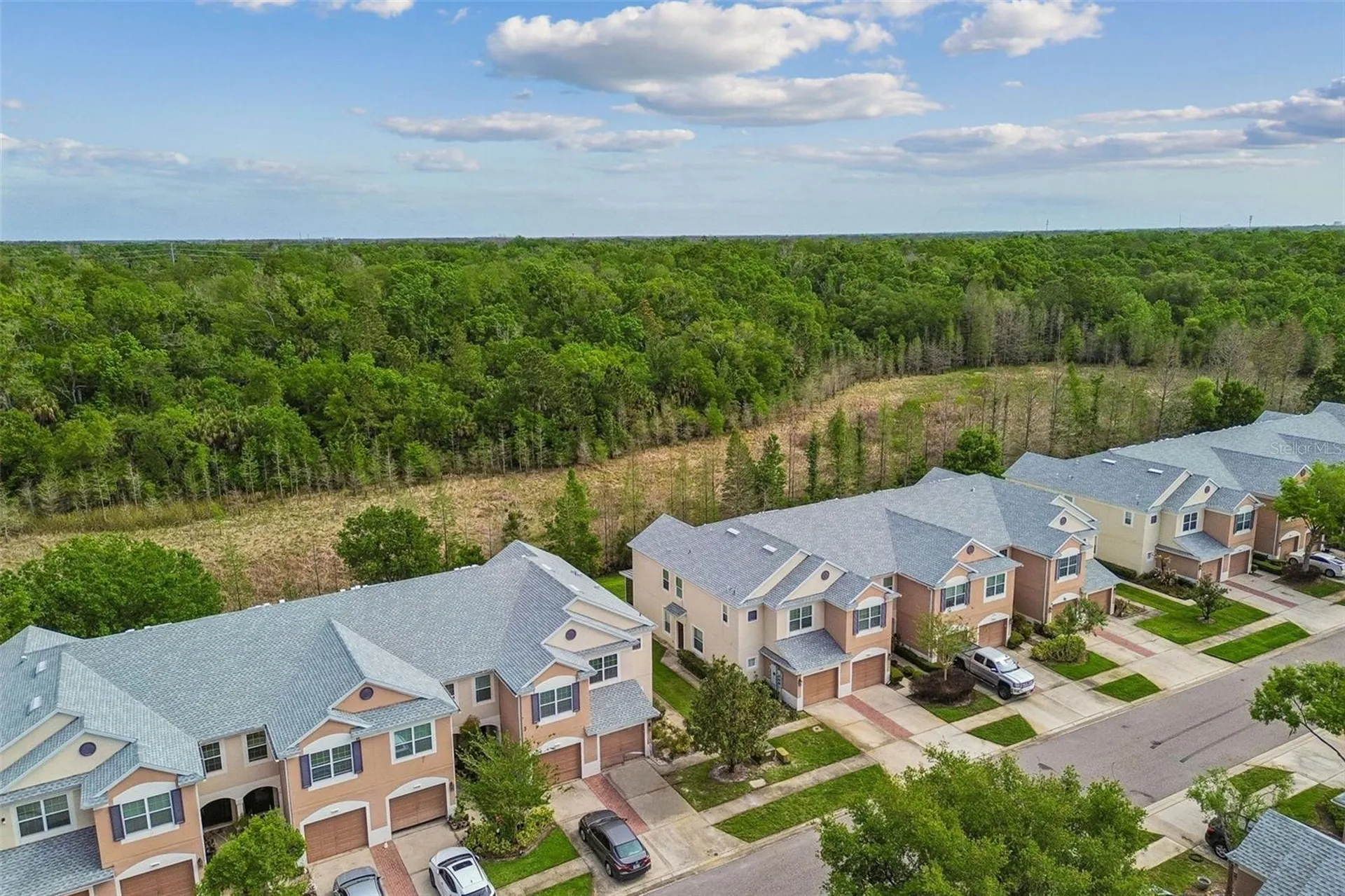 26527 Castleview Way Wesley Chapel FL 33544