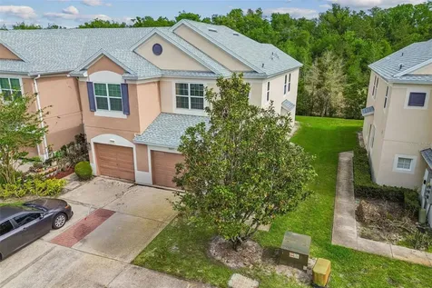 26527 Castleview Way Wesley Chapel FL 33544
