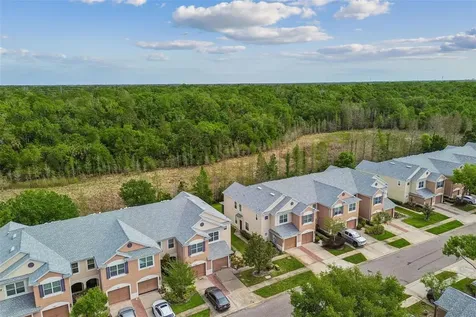 26527 Castleview Way Wesley Chapel FL 33544