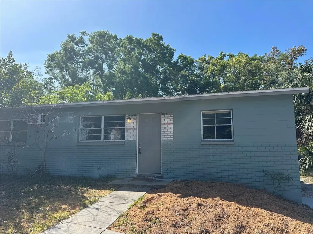 1203 E Annie Street Tampa FL 33612
