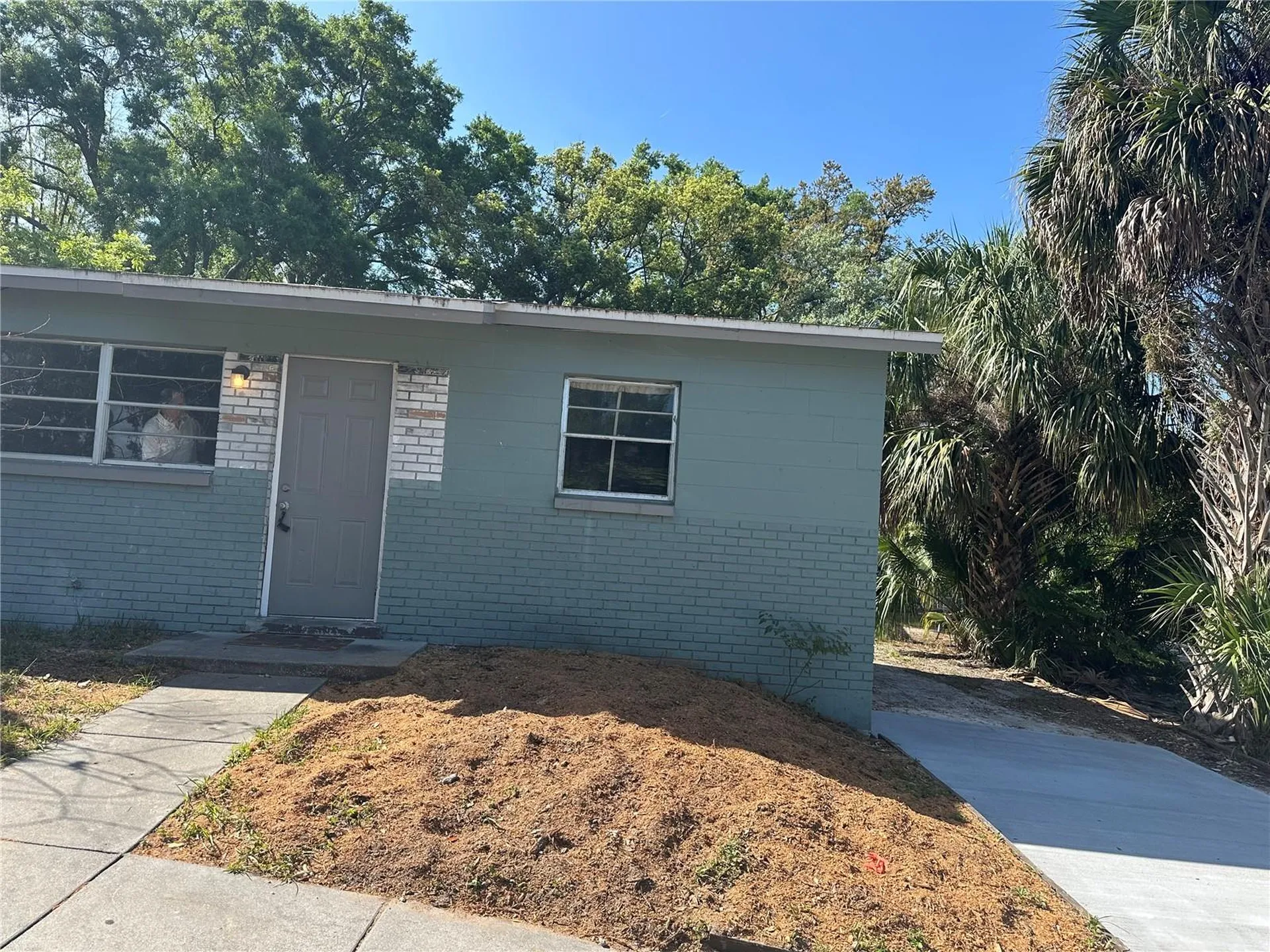 1203 E Annie Street Tampa FL 33612