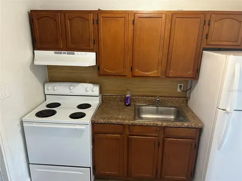 1203 E Annie Street Tampa FL 33612