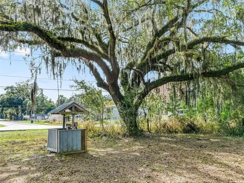 10487 SE Highway 42 Summerfield FL 34491