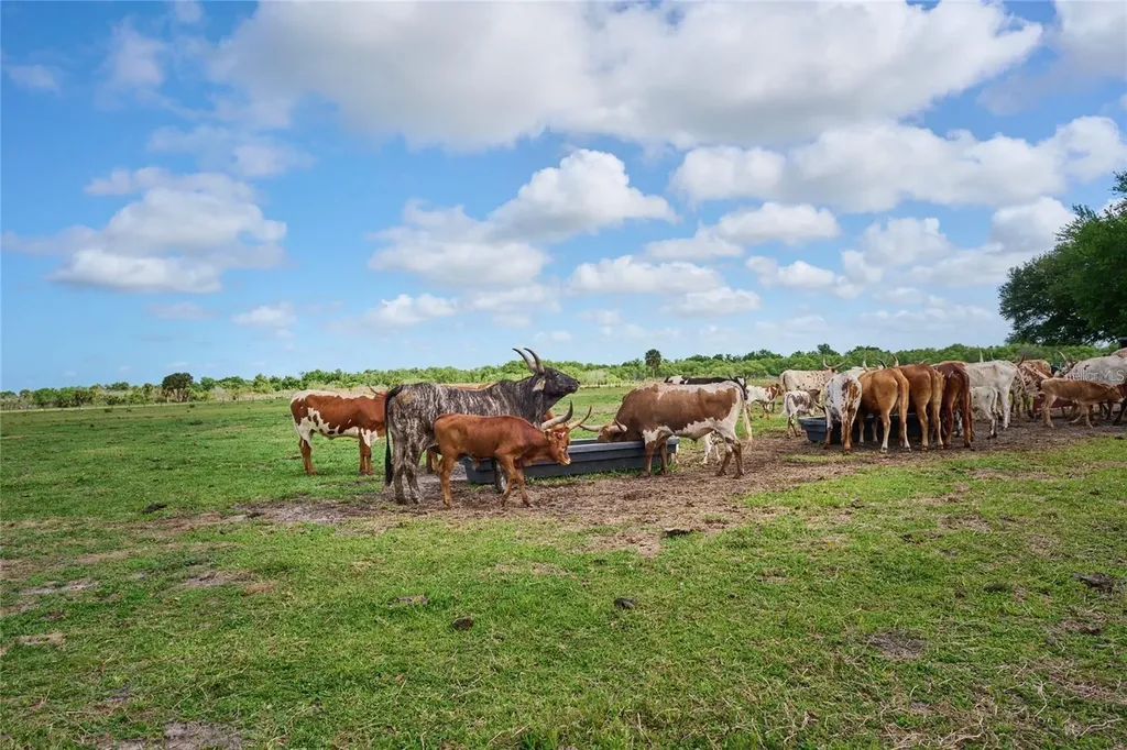 161 Horseshoe Bend River Ranch FL 33867