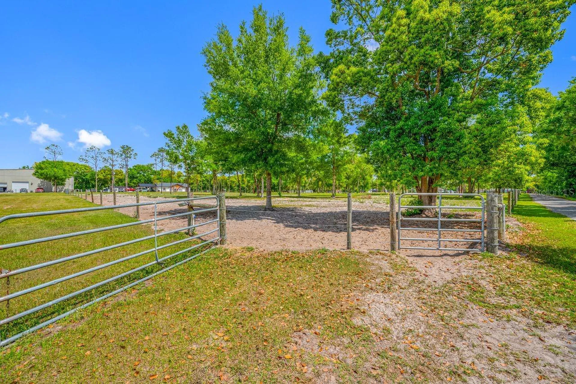 00 Hanna Road Lutz FL 33549