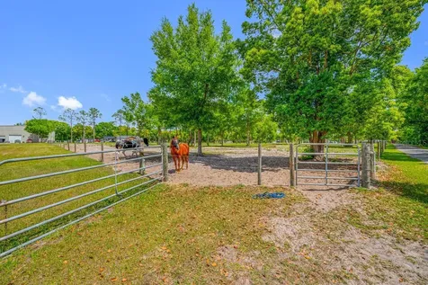 00 Hanna Road Lutz FL 33549