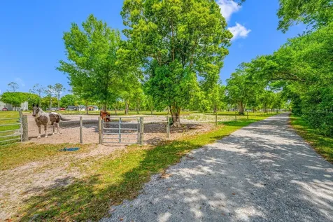 00 Hanna Road Lutz FL 33549
