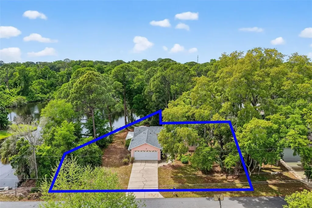 601 Vincent Drive Mount Dora FL 32757