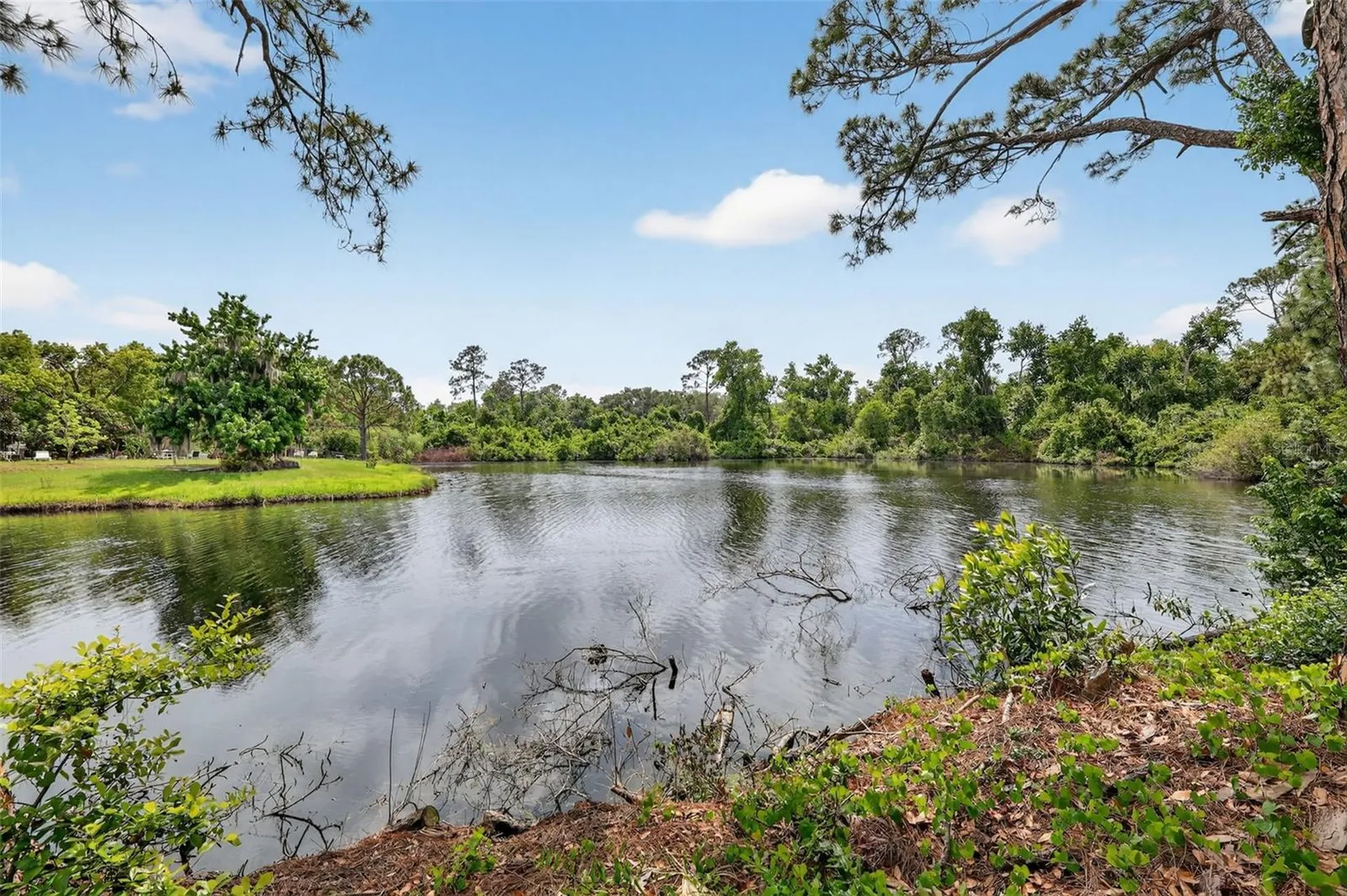 601 Vincent Drive Mount Dora FL 32757