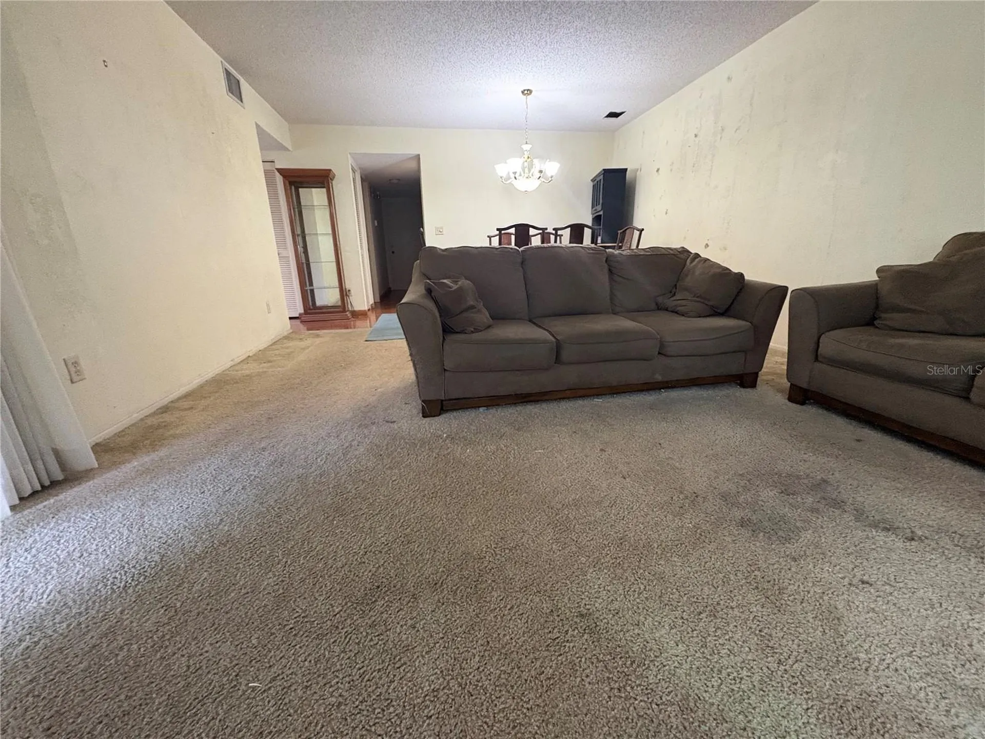 3407 Thalia Court Clearwater FL 33761
