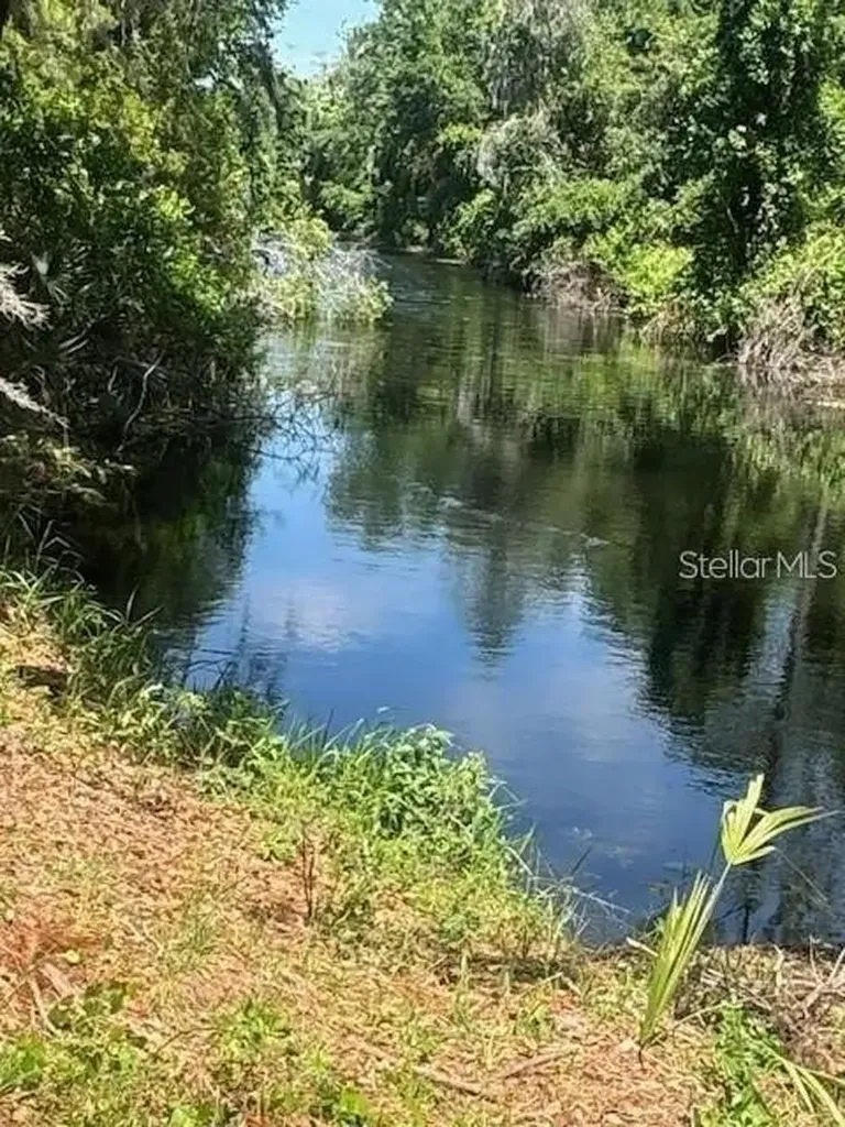 Lot 67, Grand Oak Lane Tavares FL 32778