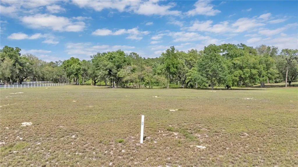 Lot 67, Grand Oak Lane Tavares FL 32778