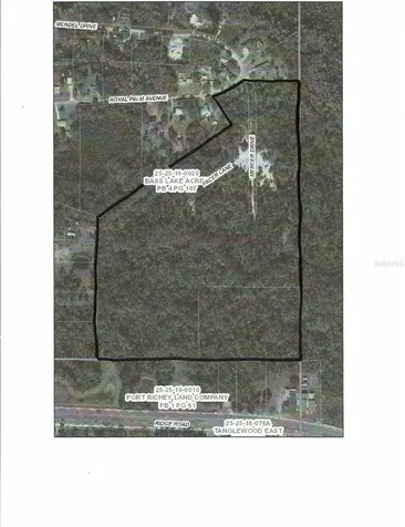 0 Royal Palm Avenue New Port Richey FL 34654