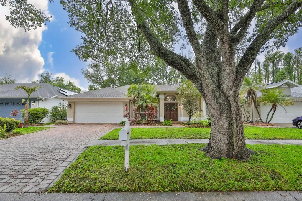 3722 Cypress Meadows Road Tampa FL 33624