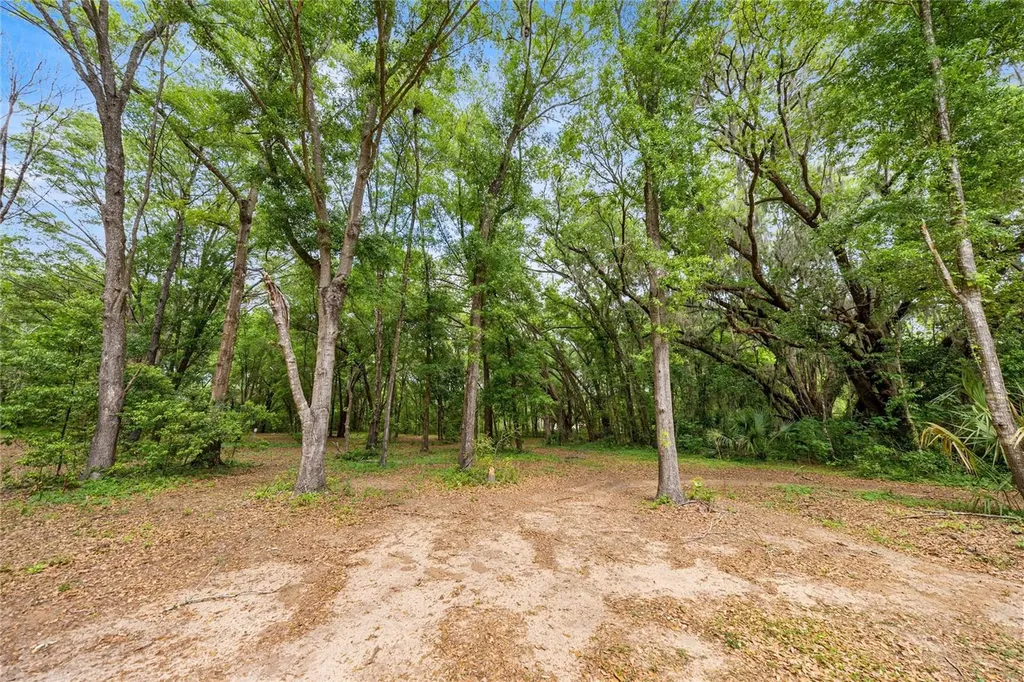 12882 SE 78th Terrace Summerfield FL 34491