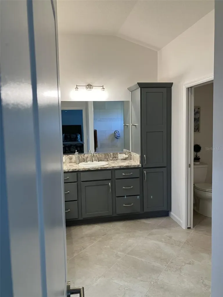 3284 Theodore Terrace The Villages FL 32163