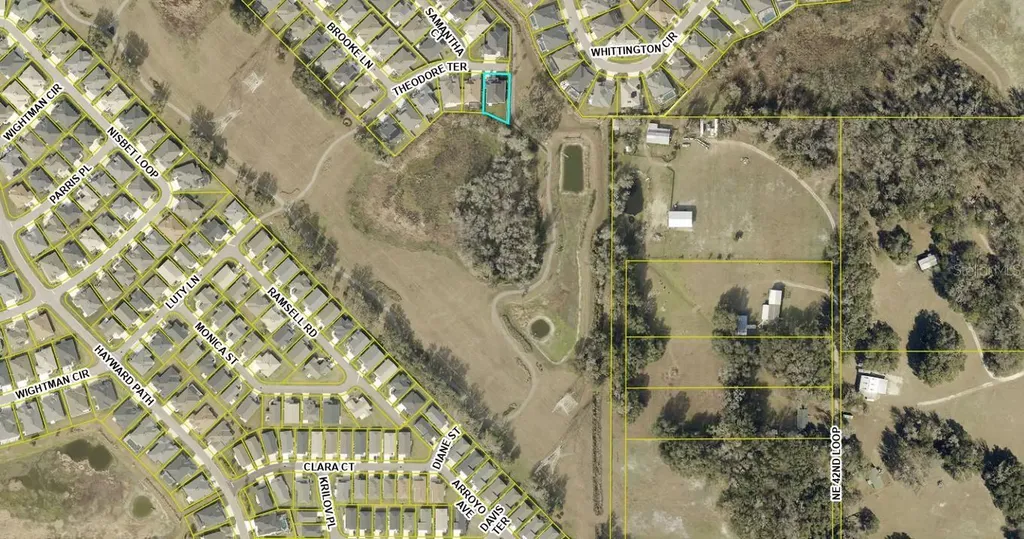 3284 Theodore Terrace The Villages FL 32163