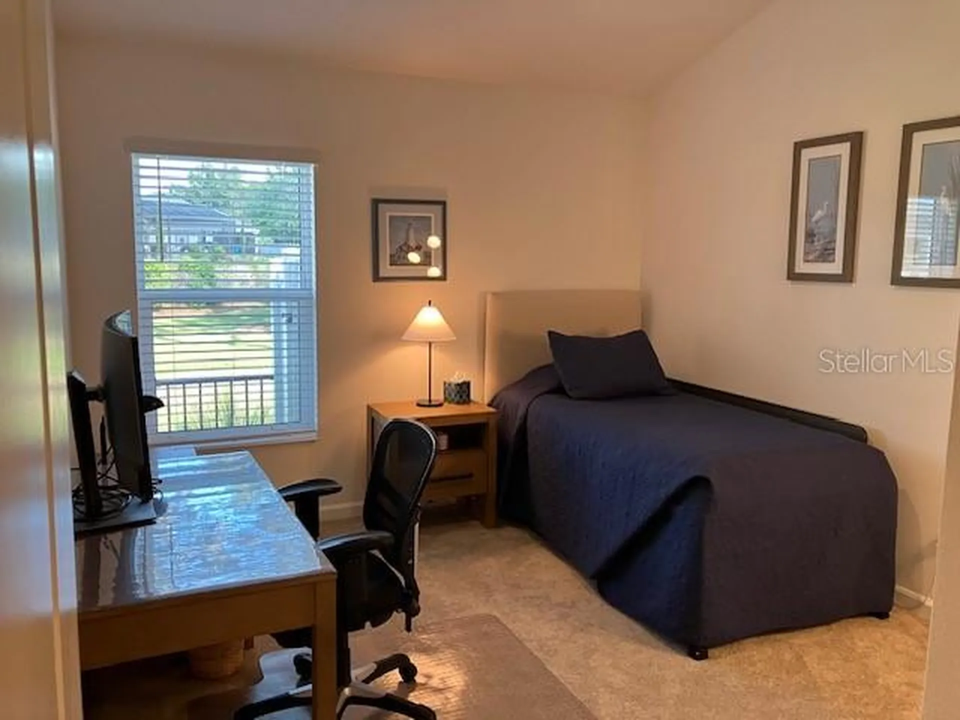 3284 Theodore Terrace The Villages FL 32163