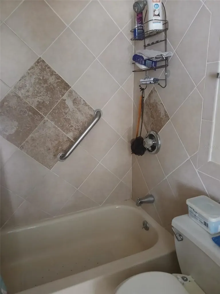 2916 W Wilder Avenue Tampa FL 33614