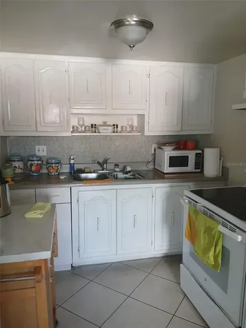 2916 W Wilder Avenue Tampa FL 33614