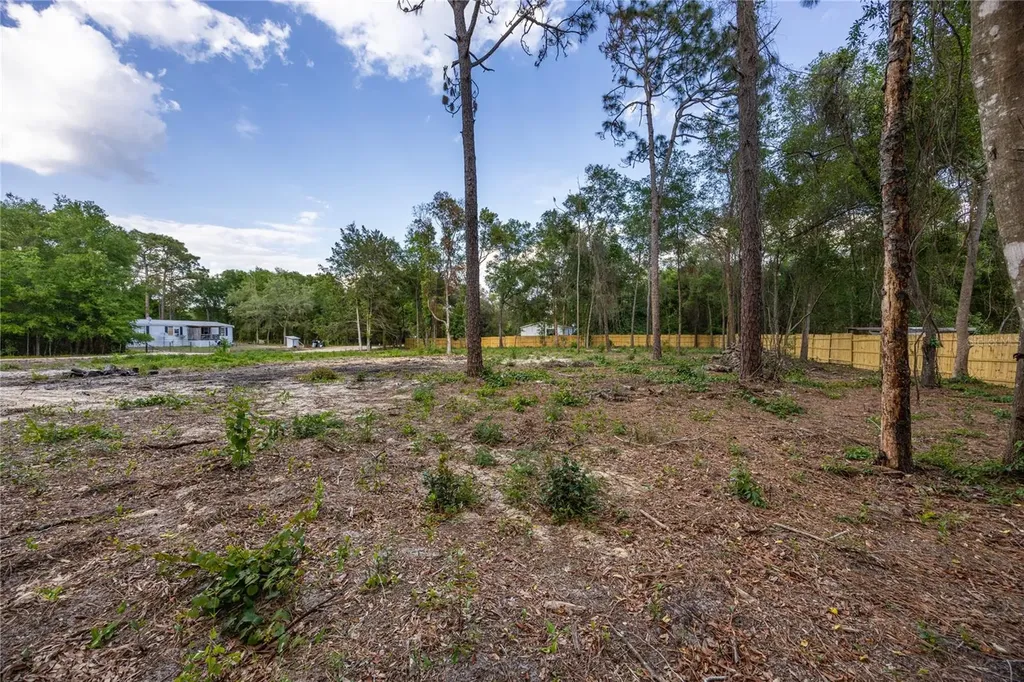 6397 Baylor Avenue Keystone Heights FL 32656