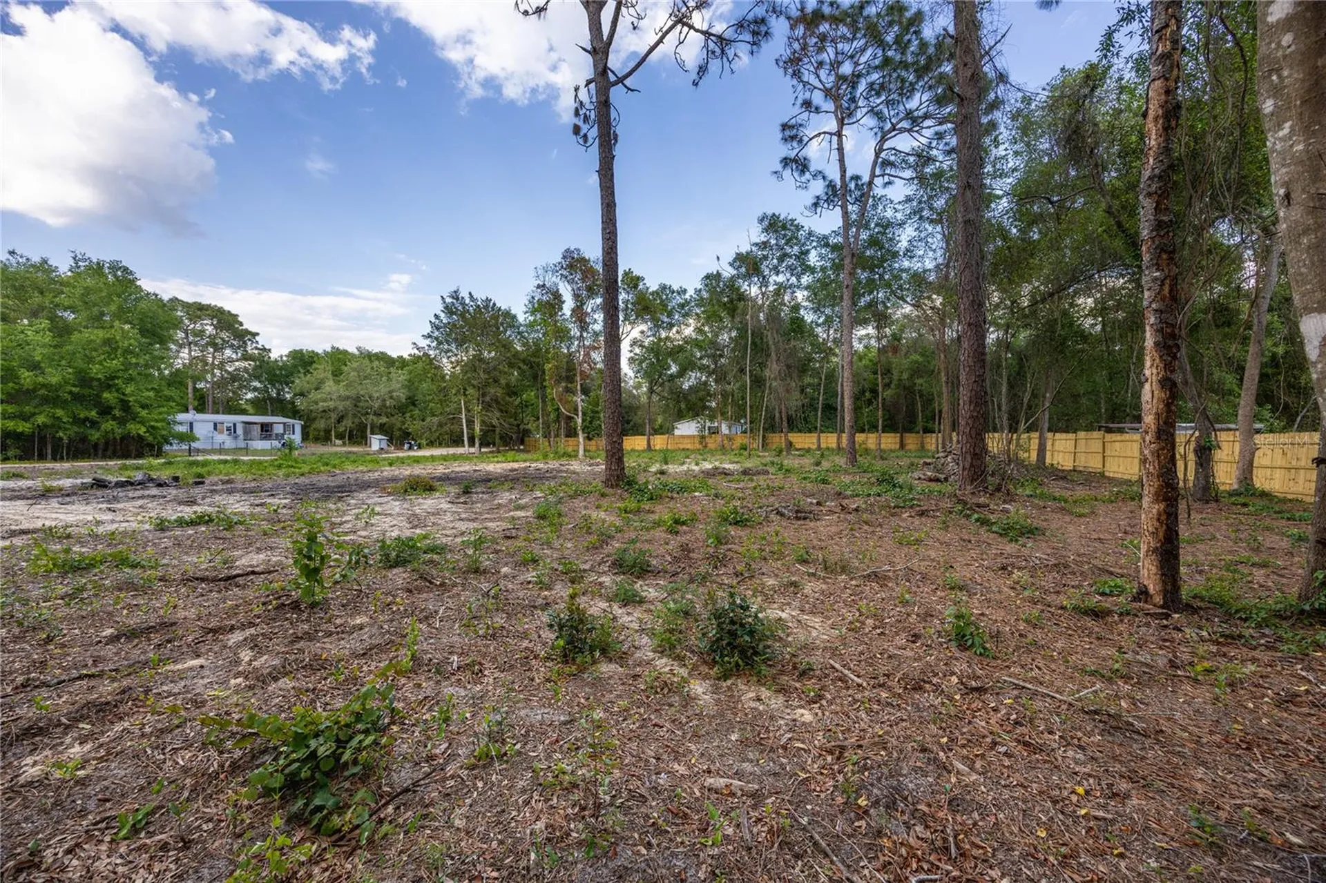 6397 Baylor Avenue Keystone Heights FL 32656