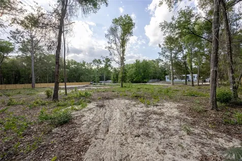 6397 Baylor Avenue Keystone Heights FL 32656
