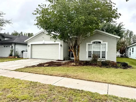 30630 Nickerson Loop Wesley Chapel FL 33543