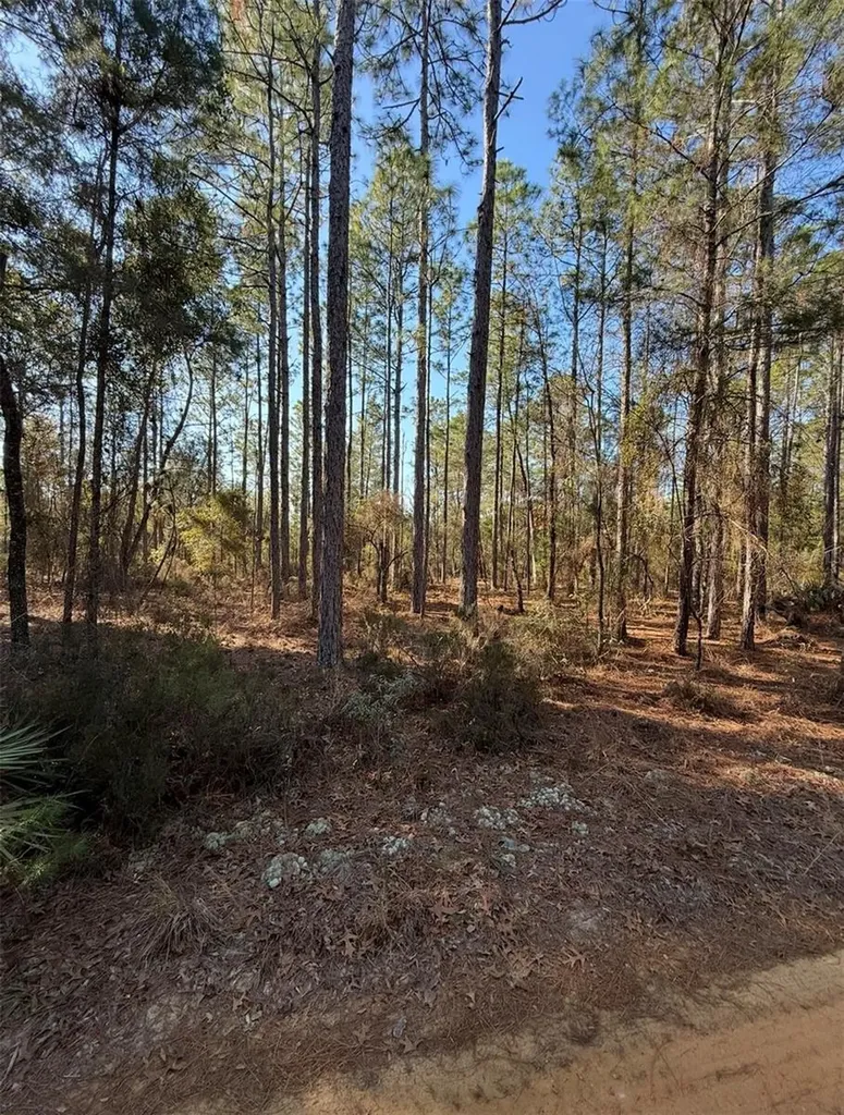 Tbt 5th Way Interlachen FL 32148