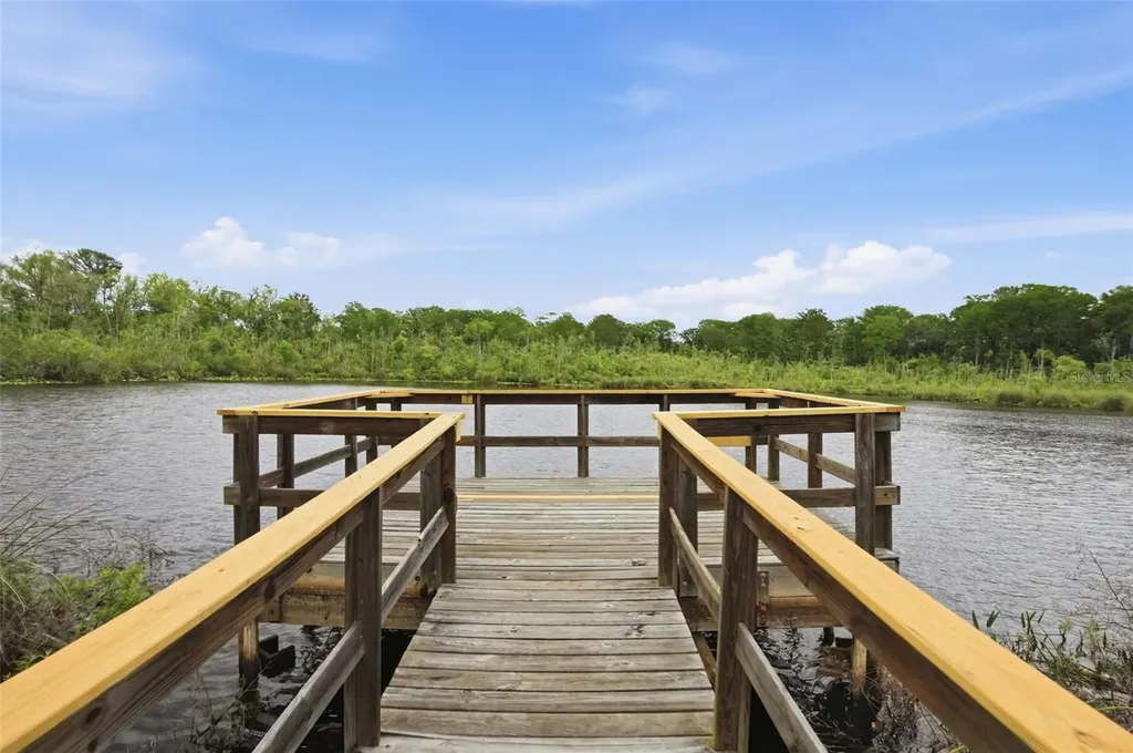 12417 Coralbean Court New Port Richey FL 34654