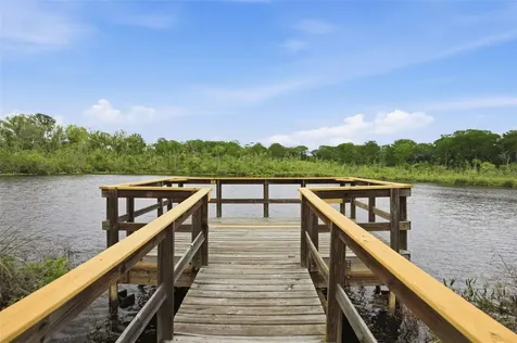 12417 Coralbean Court New Port Richey FL 34654
