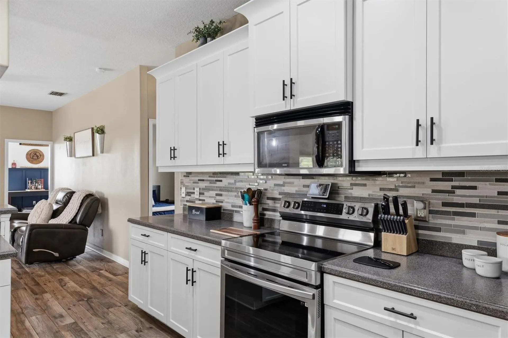 26920 Brandiff Road E Myakka City FL 34251