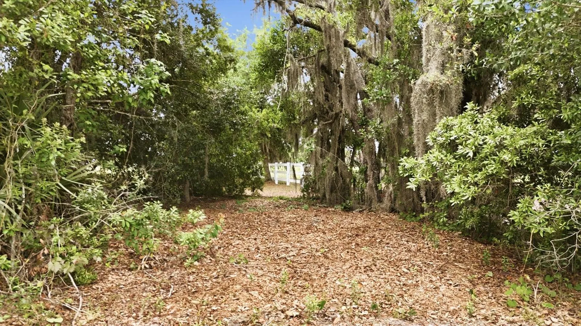 26920 Brandiff Road E Myakka City FL 34251