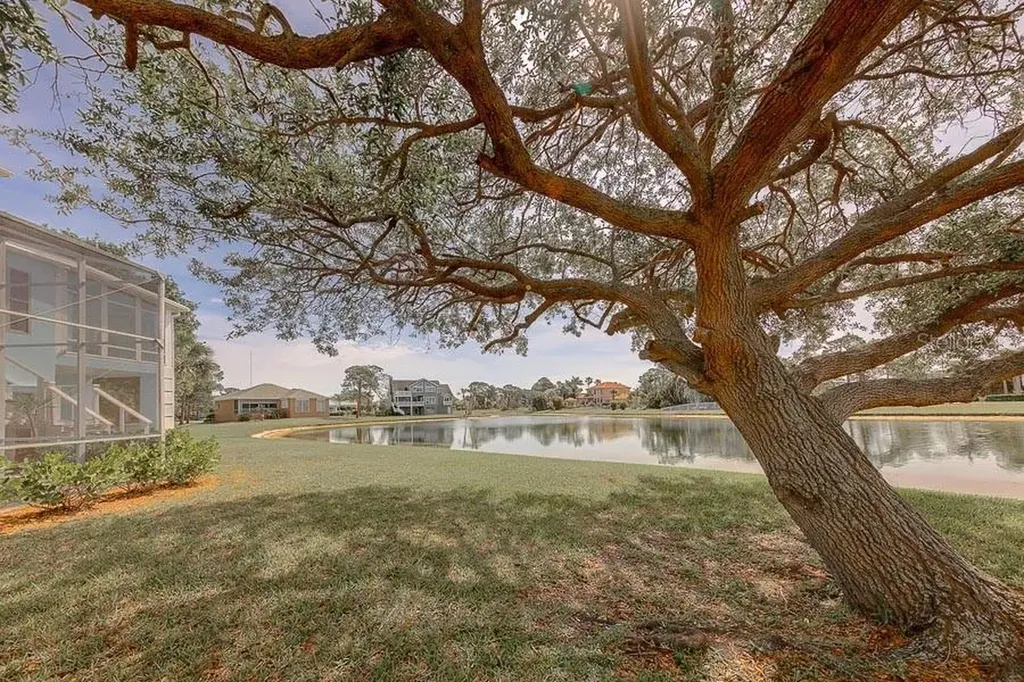 2106 Pelican Court Tarpon Springs FL 34689