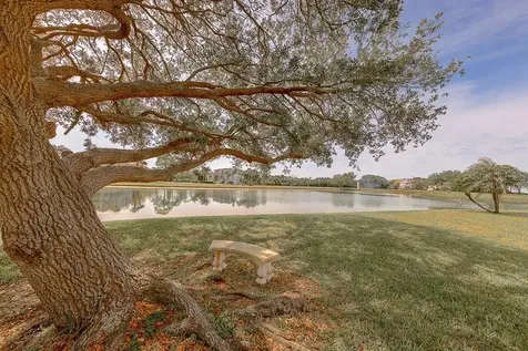 2106 Pelican Court Tarpon Springs FL 34689