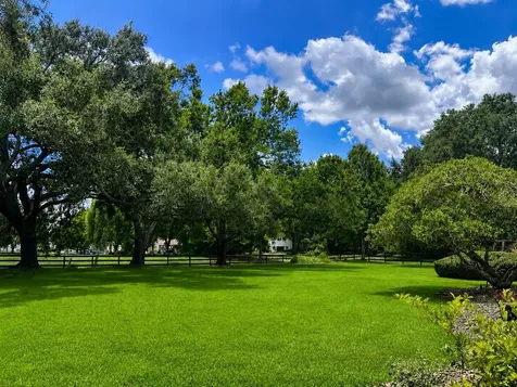 14140 Country Estate Drive Winter Garden FL 34787