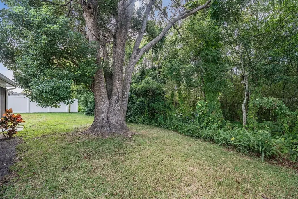 7916 Yucca Drive New Port Richey FL 34653