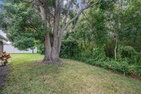 7916 Yucca Drive New Port Richey FL 34653