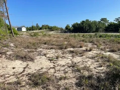 607 Homosassa Lane Poinciana FL 34759